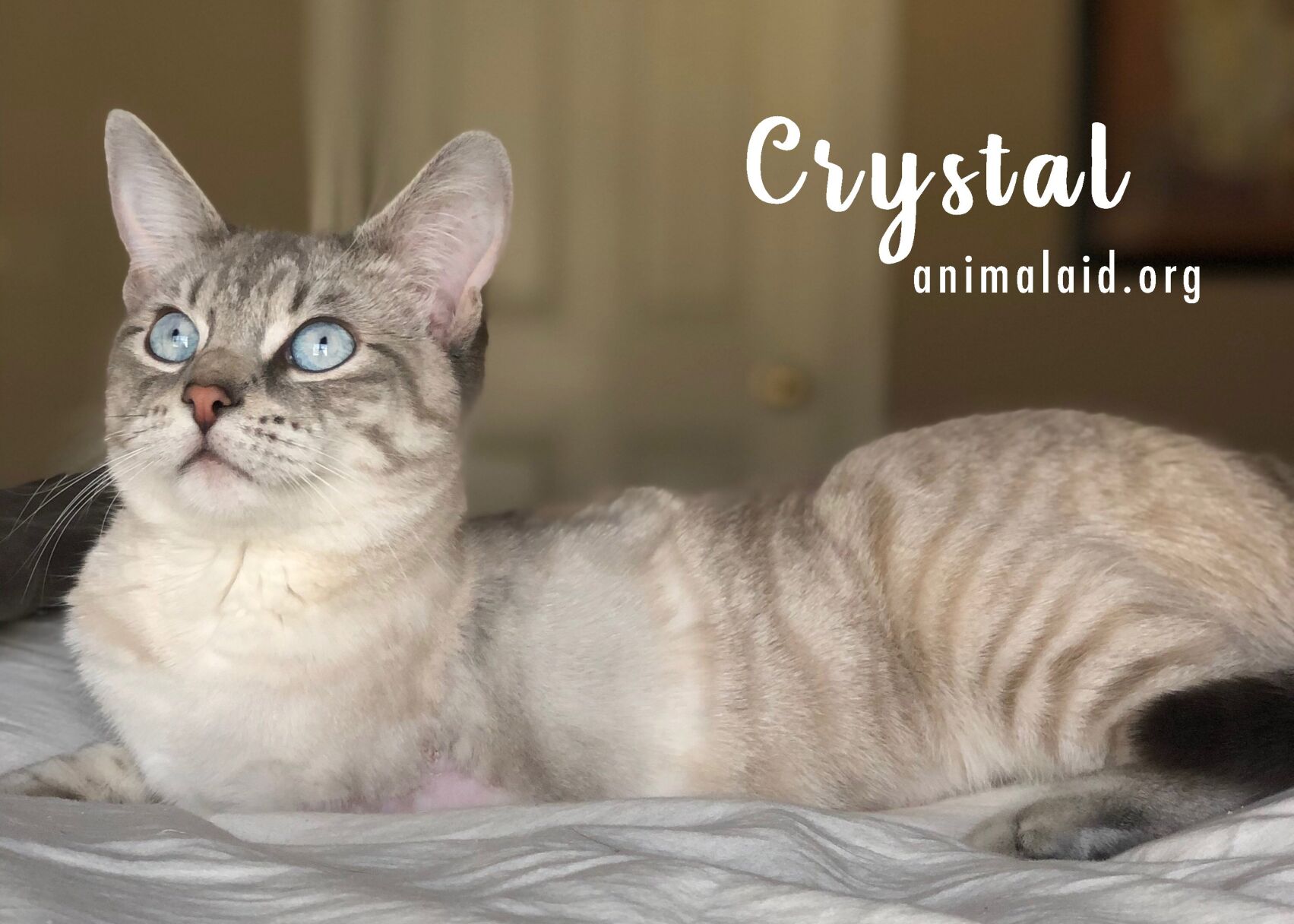 Crystal